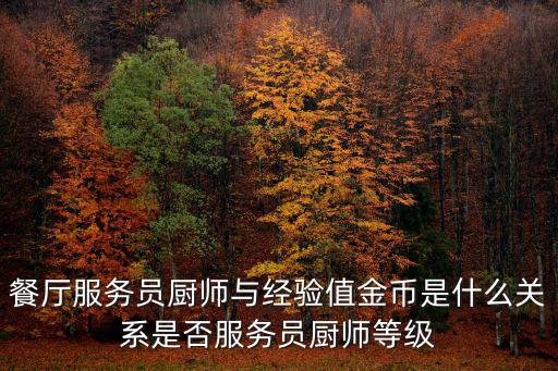 餐厅服务员厨师与经验值金币是什么关系是否服务员厨师等级