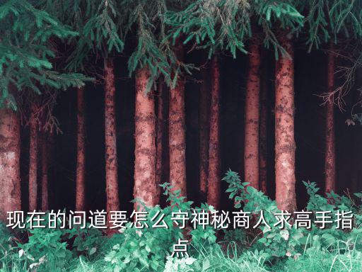 现在的问道要怎么守神秘商人求高手指点