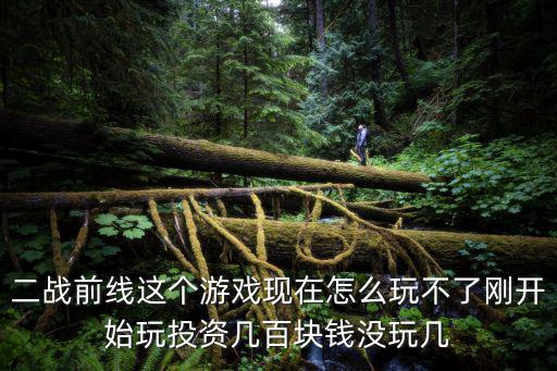 二战前线这个游戏现在怎么玩不了刚开始玩投资几百块钱没玩几