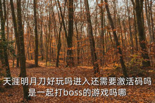 天涯明月刀好玩吗进入还需要激活码吗是一起打boss的游戏吗哪