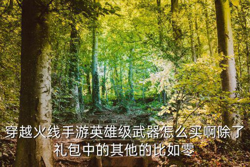 穿越火线手游英雄级武器怎么买啊除了礼包中的其他的比如零