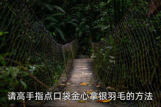 猫和老鼠手游金羽毛怎么快速获得，请高手指点口袋金心拿银羽毛的方法