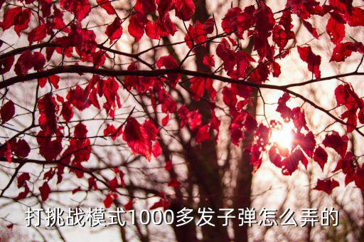 cf手游生化斯太尔1000多子弹怎么弄，打挑战模式1000多发子弹怎么弄的