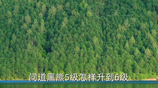 问道黑熊5级怎样升到6级