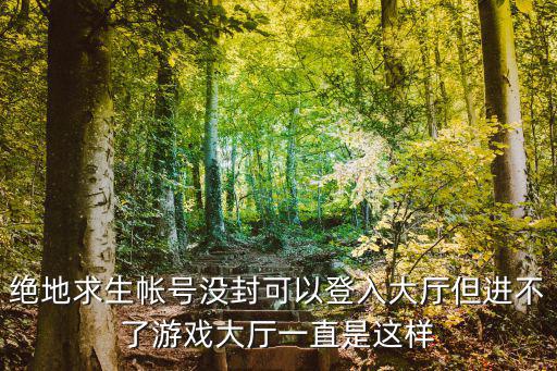 绝地求生帐号没封可以登入大厅但进不了游戏大厅一直是这样