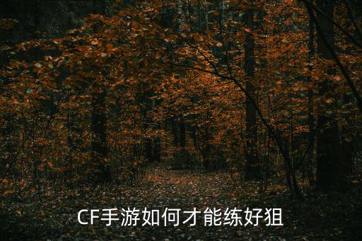 CF手游如何才能练好狙