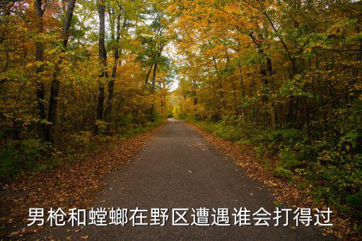 男枪和螳螂在野区遭遇谁会打得过