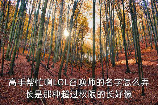 高手帮忙啊LOL召唤师的名字怎么弄长是那种超过权限的长好像