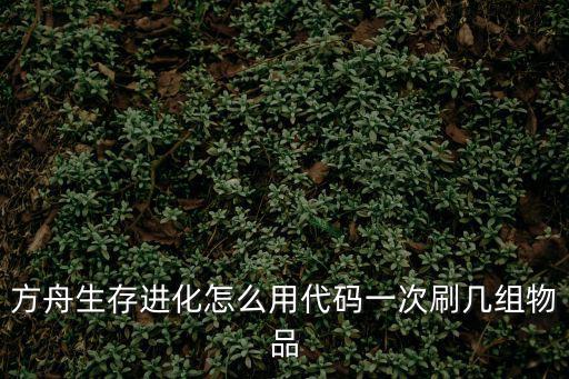 方舟生存进化怎么用代码一次刷几组物品