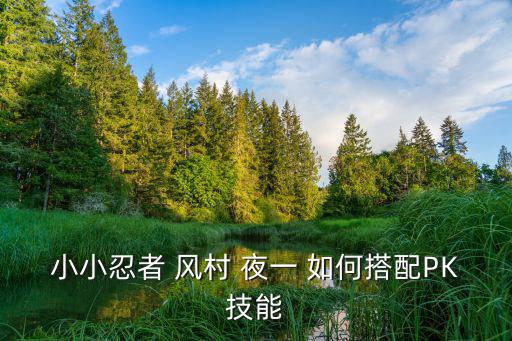 小小忍者 风村 夜一 如何搭配PK技能