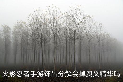 火影忍者手游饰品分解会掉奥义精华吗