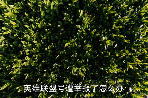 被举报了怎么办lol手游，lol被举报了 怎么办