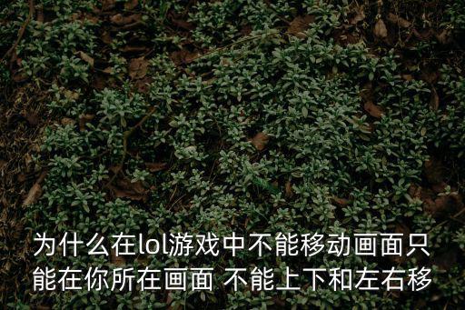 为什么在lol游戏中不能移动画面只能在你所在画面 不能上下和左右移