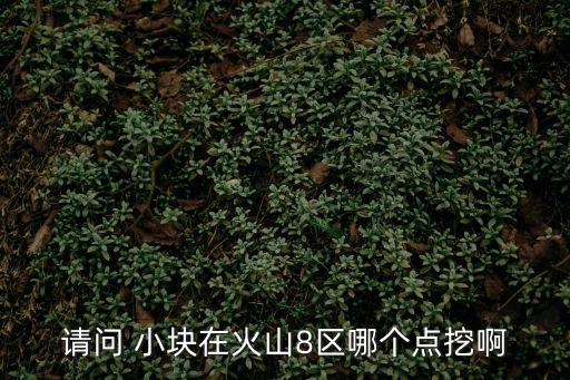 请问 小块在火山8区哪个点挖啊