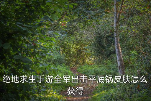 绝地求生手游全军出击平底锅皮肤怎么获得