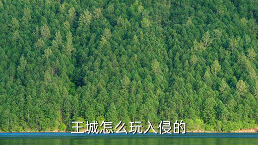 王城怎么玩入侵的