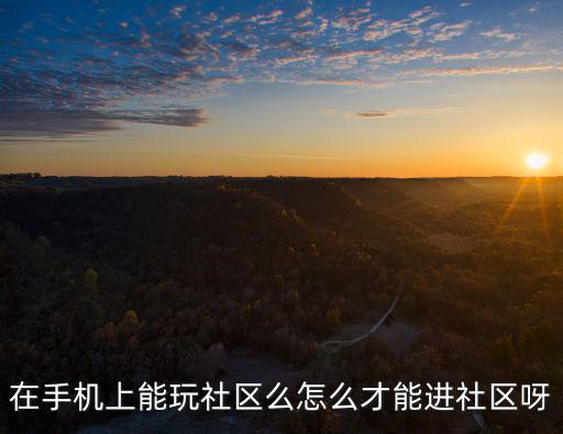 在手机上能玩社区么怎么才能进社区呀
