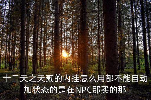 十二天之天贰的内挂怎么用都不能自动加状态的是在NPC那买的那