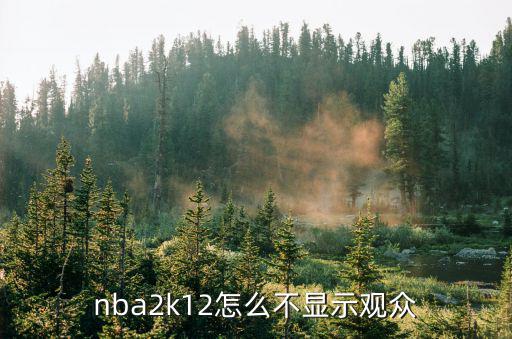 nba2k12怎么不显示观众