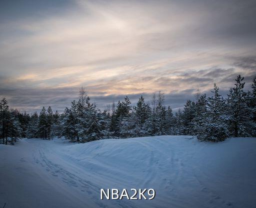NBA2K9