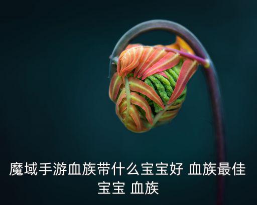 魔域手游不会选择宝宝怎么办，魔域怎么合BB好我不会仓库怎么放好