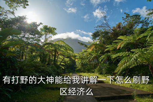 有打野的大神能给我讲解一下怎么刷野区经济么
