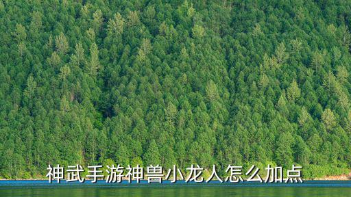 神武手游神兽小龙人怎么加点
