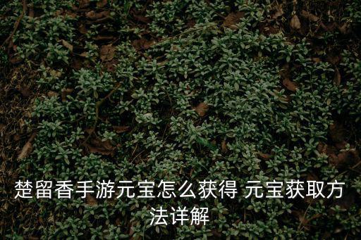 楚留香手游元宝怎么获得 元宝获取方法详解