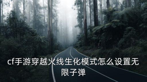 cf手游穿越火线生化模式怎么设置无限子弹