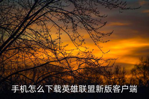一加9怎么安装英雄联盟手游，英雄联盟这个游戏怎么安装急急急急急