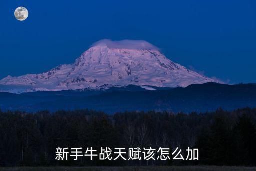 新手牛战天赋该怎么加
