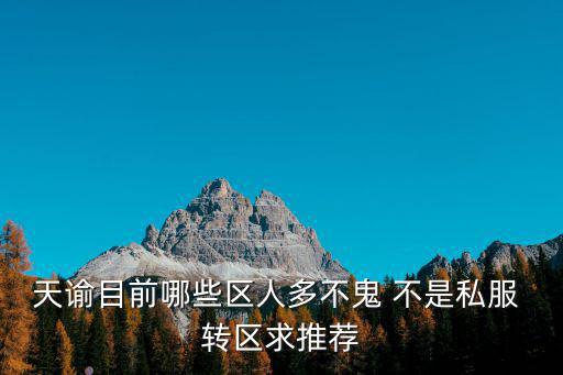 天谕目前哪些区人多不鬼 不是私服 转区求推荐