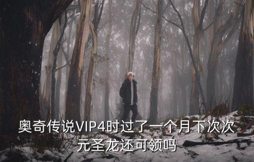 奥奇传说VIP4时过了一个月下次次元圣龙还可领吗