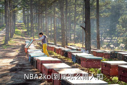 nba 2k 20手游怎么隔扣，NBA2KOL里如何隔扣