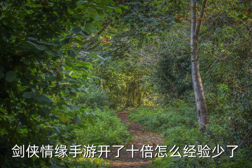 剑侠情缘手游经验少怎么办，剑侠情缘手游经验减半 在怎么升级