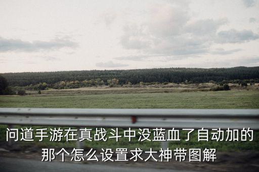 问道手游在真战斗中没蓝血了自动加的那个怎么设置求大神带图解