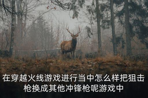 在穿越火线游戏进行当中怎么样把狙击枪换成其他冲锋枪呢游戏中