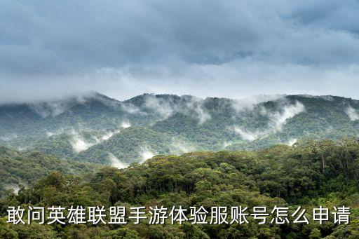 敢问英雄联盟手游体验服账号怎么申请