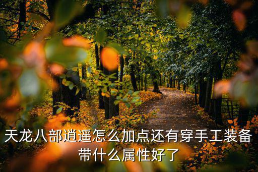 天龙八部逍遥怎么加点还有穿手工装备带什么属性好了