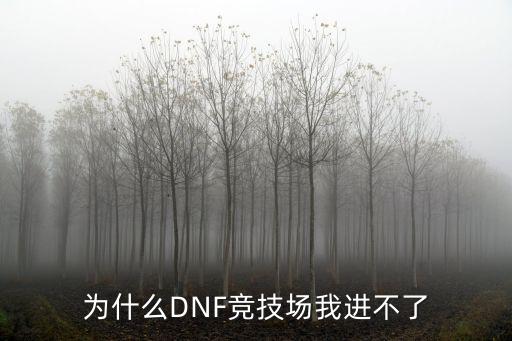 dnf手游竞技场怎么进不去，DNF竞技场怎么进不去