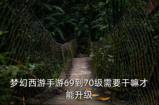 梦幻手游突破任务怎么升级，梦幻西游手游69到70级需要干嘛才能升级