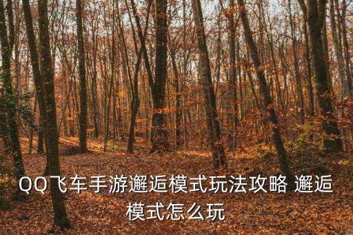 QQ飞车手游邂逅模式玩法攻略 邂逅模式怎么玩