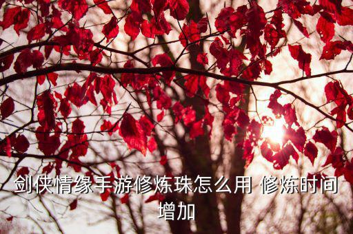 剑侠情缘手游修炼珠怎么用 修炼时间增加
