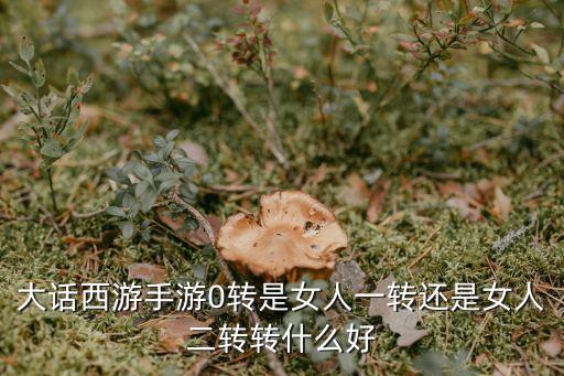 大话西游手游0转是女人一转还是女人二转转什么好