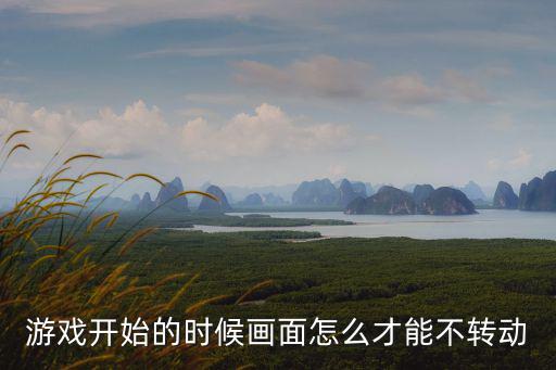 游戏开始的时候画面怎么才能不转动