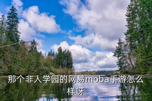 那个非人学园的网易moba手游怎么样呀