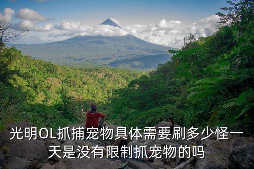 光明OL抓捕宠物具体需要刷多少怪一天是没有限制抓宠物的吗
