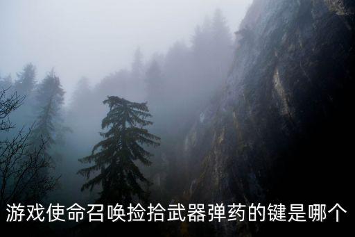 游戏使命召唤捡拾武器弹药的键是哪个