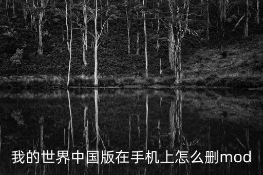 我的世界中国版在手机上怎么删mod