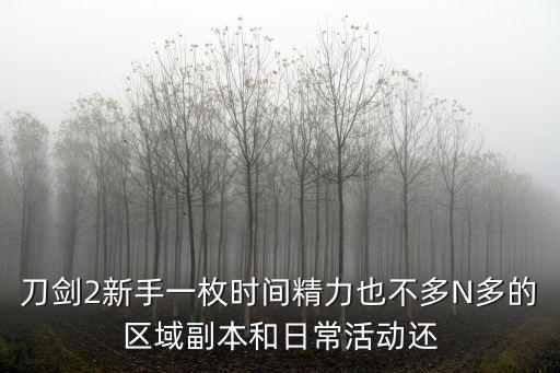 刀剑2新手一枚时间精力也不多N多的区域副本和日常活动还